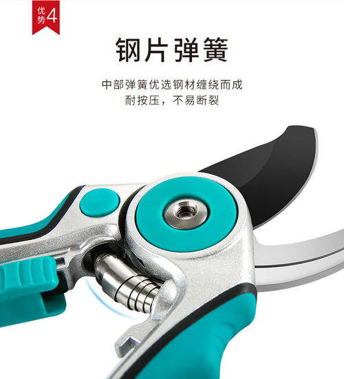 張小泉春悅整枝剪園林工具剪果樹綠化園藝花藝修花剪枝剪刀修枝剪
